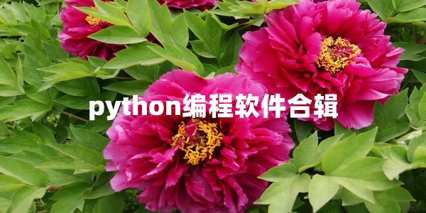 python编程软件有哪些哪个好玩-python编程软件大全