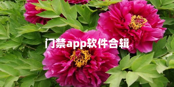 门禁app软件推荐-门禁app软件app下载免费