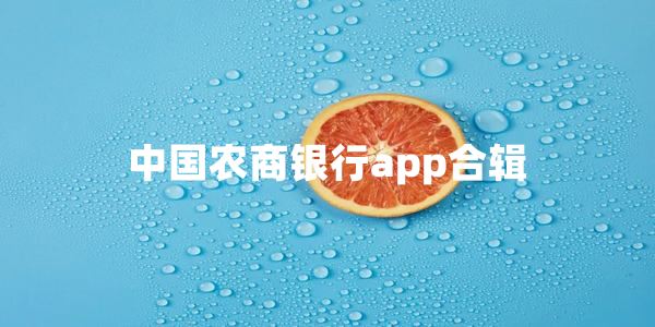 中国农商银行app